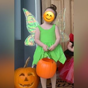 Little Girls Tinkerbell Costume Dress and Wings